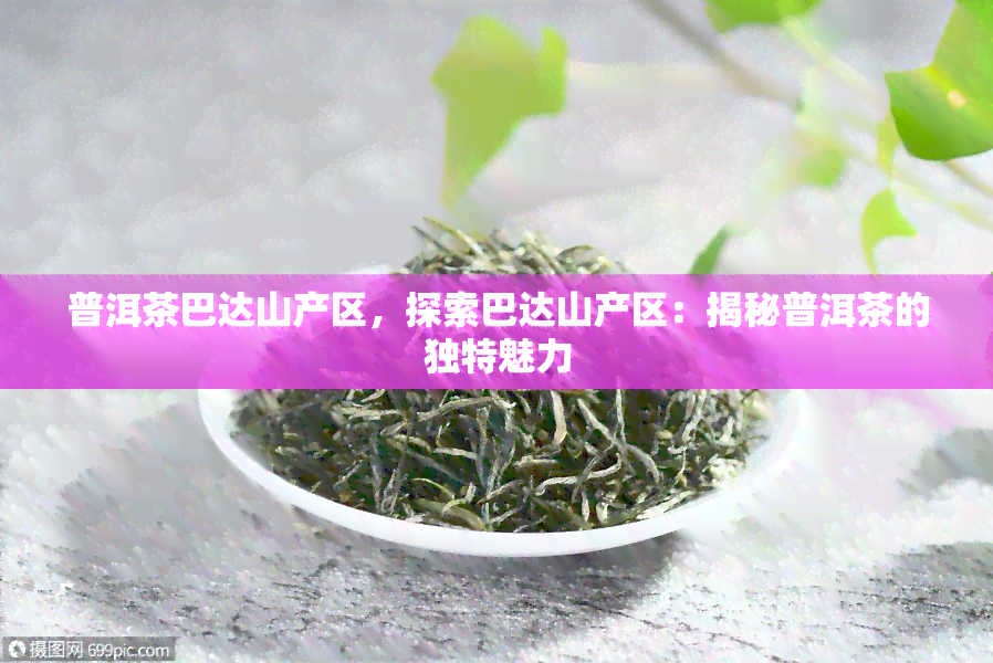 普洱茶巴达山产区，探索巴达山产区：揭秘普洱茶的独特魅力