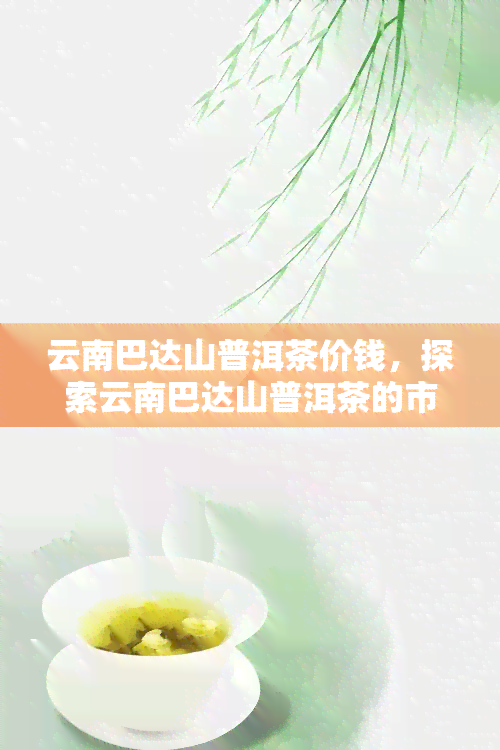 云南巴达山普洱茶价钱，探索云南巴达山普洱茶的市场价格与品质