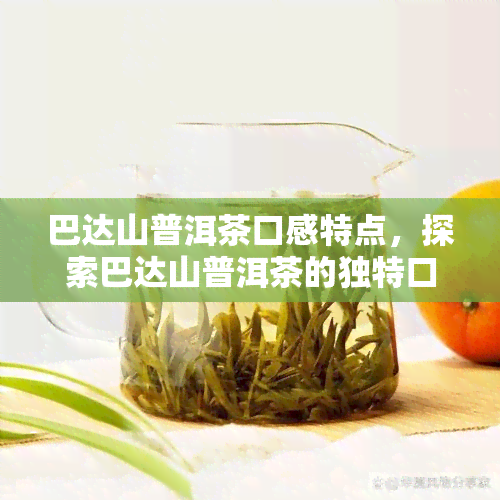 巴达山普洱茶口感特点，探索巴达山普洱茶的独特口感特点