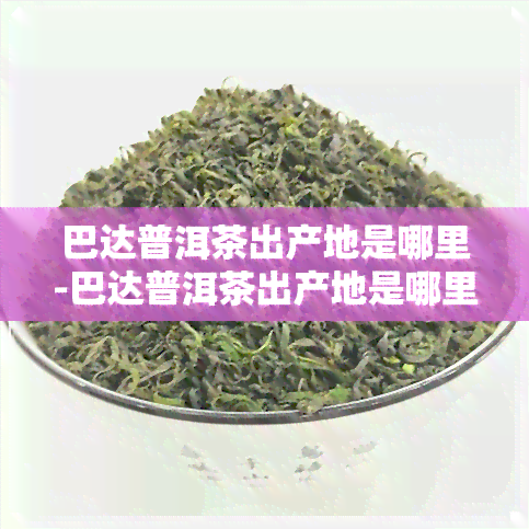 巴达普洱茶出产地是哪里-巴达普洱茶出产地是哪里的