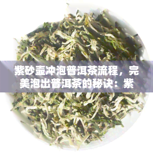 紫砂壶冲泡普洱茶流程，完美泡出普洱茶的秘诀：紫砂壶冲泡步骤解析