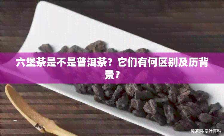 六堡茶是不是普洱茶？它们有何区别及历背景？