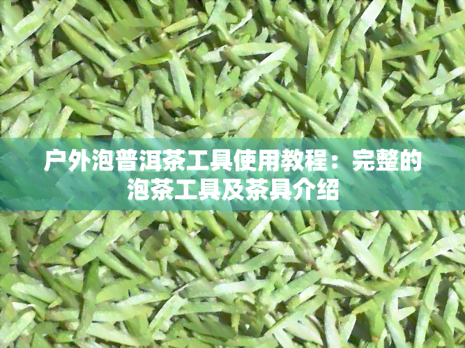 户外泡普洱茶工具使用教程：完整的泡茶工具及茶具介绍