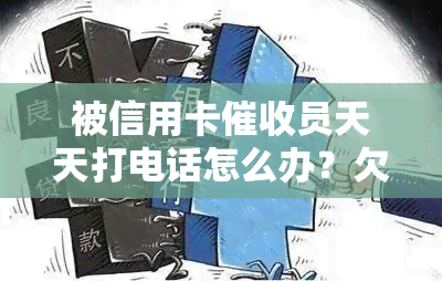 被信用卡员天天打电话怎么办？欠款被能否报警？