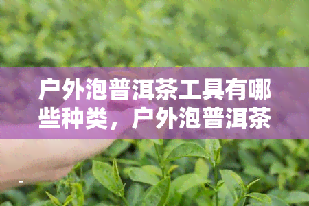 户外泡普洱茶工具有哪些种类，户外泡普洱茶必备工具全攻略