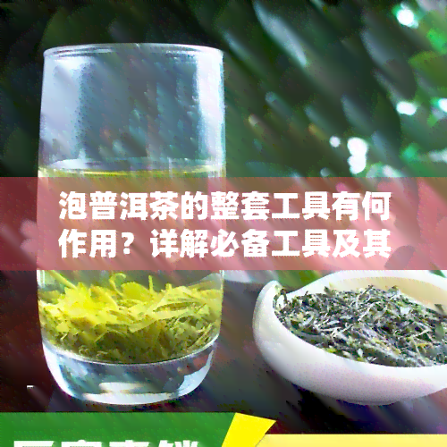 泡普洱茶的整套工具有何作用？详解必备工具及其用途