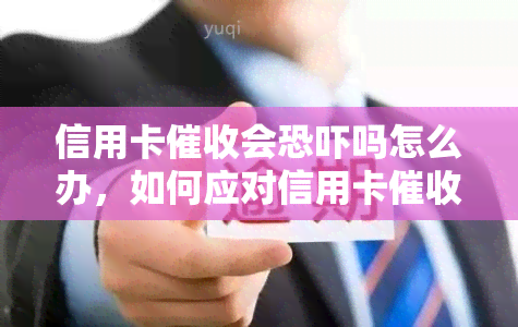 信用卡会吗怎么办，如何应对信用卡的行为？