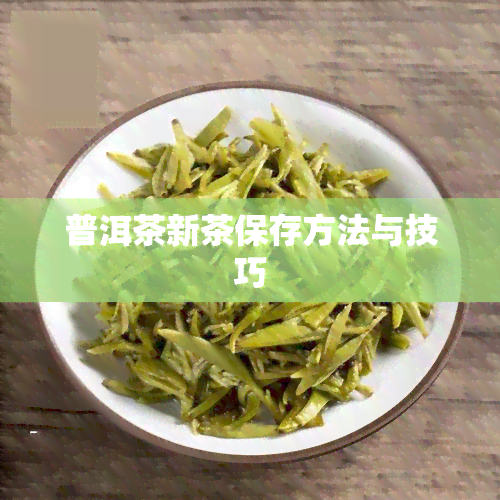 普洱茶新茶保存方法与技巧