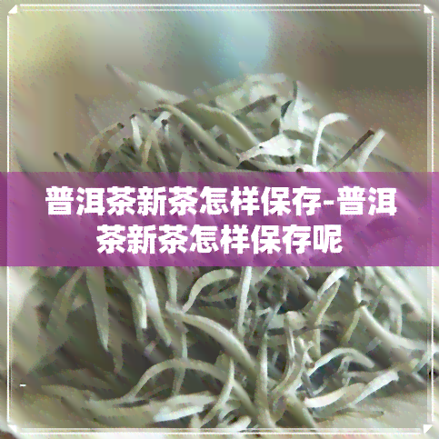 普洱茶新茶怎样保存-普洱茶新茶怎样保存呢