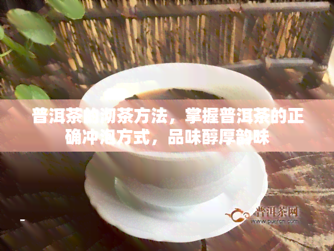 普洱茶的沏茶方法，掌握普洱茶的正确冲泡方式，品味醇厚韵味