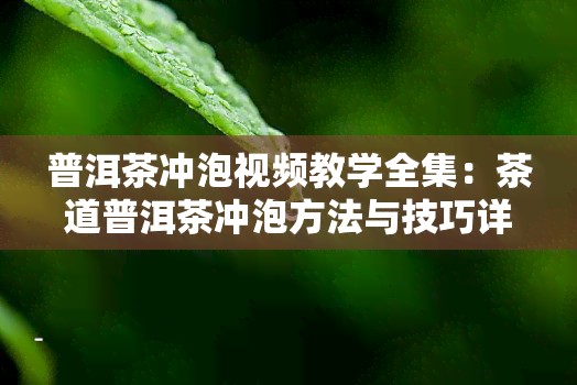 普洱茶冲泡视频教学全集：茶道普洱茶冲泡方法与技巧详解