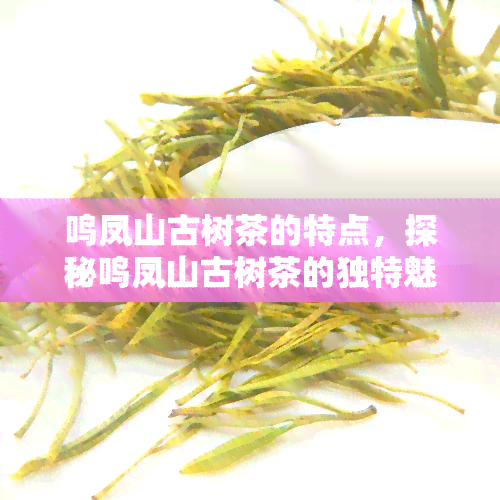 鸣凤山古树茶的特点，探秘鸣凤山古树茶的独特魅力