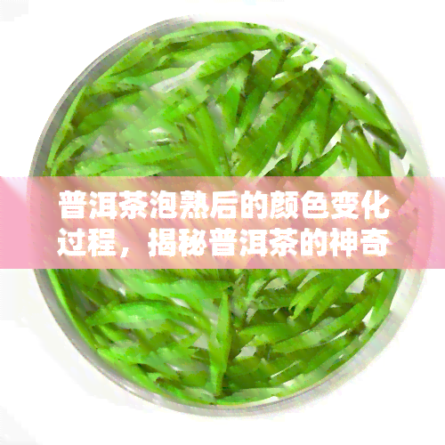 普洱茶泡熟后的颜色变化过程，揭秘普洱茶的神奇蜕变：泡熟后颜色变化全过程