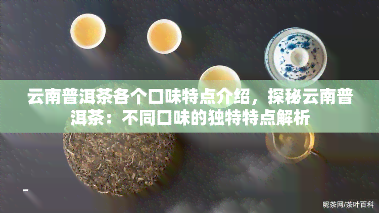 云南普洱茶各个口味特点介绍，探秘云南普洱茶：不同口味的独特特点解析