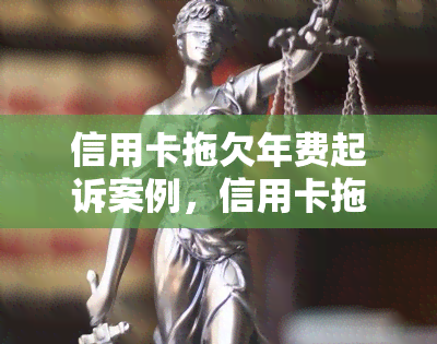 信用卡拖欠年费起诉案例，信用卡拖欠年费遭起诉：案件解析与应对策略