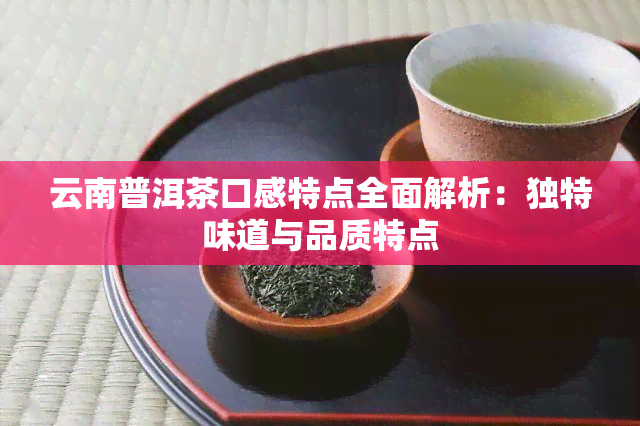 云南普洱茶口感特点全面解析：独特味道与品质特点