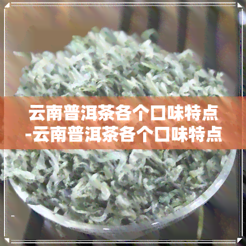 云南普洱茶各个口味特点-云南普洱茶各个口味特点介绍