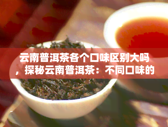 云南普洱茶各个口味区别大吗，探秘云南普洱茶：不同口味的显著差异是什么？