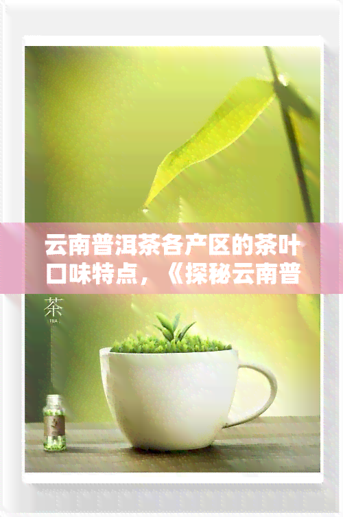 云南普洱茶各产区的茶叶口味特点，《探秘云南普洱茶各产区：独特的茶叶口味特点》