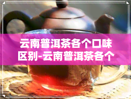 云南普洱茶各个口味区别-云南普洱茶各个口味区别大吗