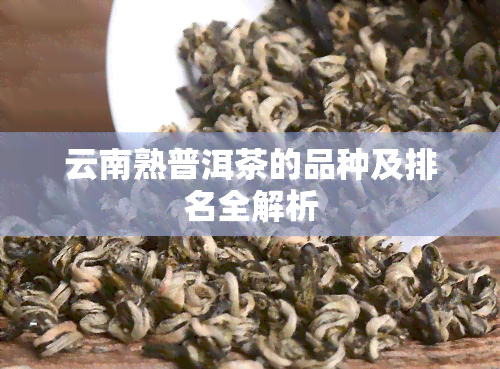 云南熟普洱茶的品种及排名全解析