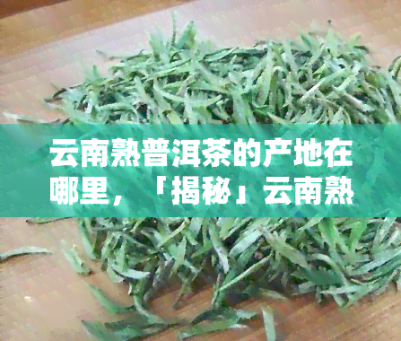 云南熟普洱茶的产地在哪里，「揭秘」云南熟普洱茶的产地在哪里？