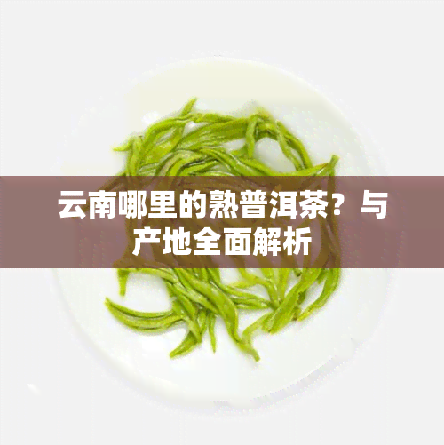 云南哪里的熟普洱茶？与产地全面解析