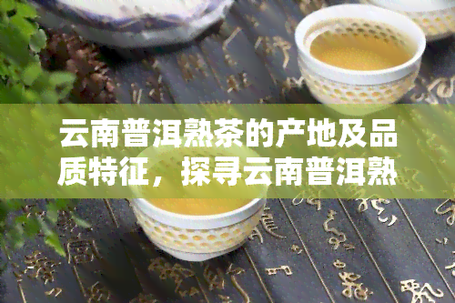 云南普洱熟茶的产地及品质特征，探寻云南普洱熟茶的产地魅力与独特品质特征