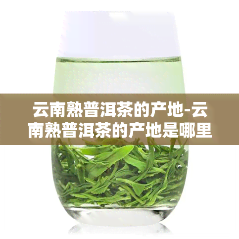 云南熟普洱茶的产地-云南熟普洱茶的产地是哪里