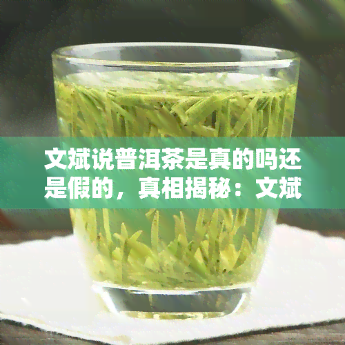 文斌说普洱茶是真的吗还是假的，真相揭秘：文斌如何看待普洱茶？是真是假？