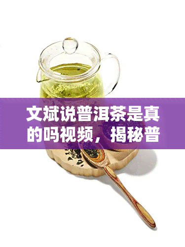 文斌说普洱茶是真的吗视频，揭秘普洱茶真伪：文斌说的靠谱吗？视频解析