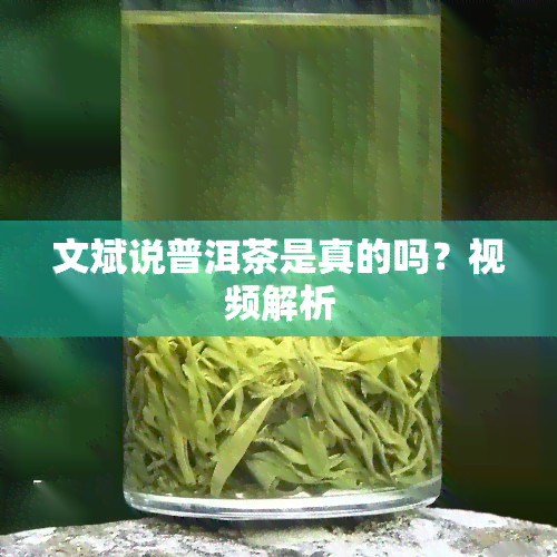 文斌说普洱茶是真的吗？视频解析