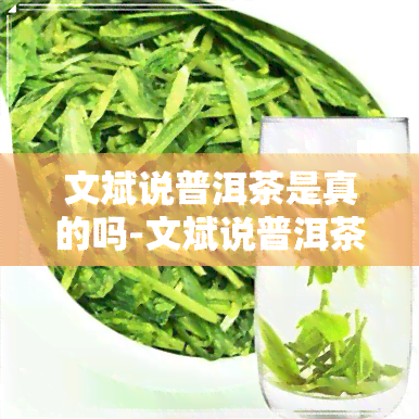 文斌说普洱茶是真的吗-文斌说普洱茶是真的吗还是假的