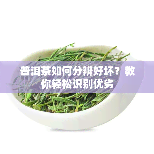 普洱茶如何分辨好坏？教你轻松识别优劣