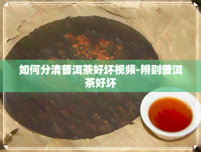 如何分清普洱茶好坏视频-辨别普洱茶好坏