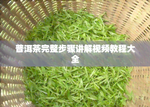 普洱茶完整步骤讲解视频教程大全