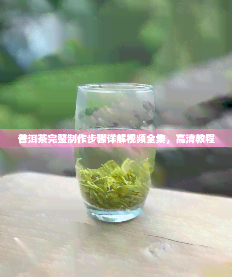 普洱茶完整制作步骤详解视频全集，高清教程