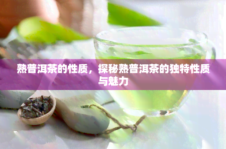 熟普洱茶的性质，探秘熟普洱茶的独特性质与魅力