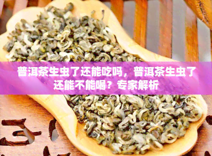 普洱茶生虫了还能吃吗，普洱茶生虫了还能不能喝？专家解析