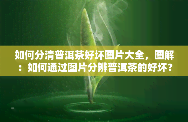 如何分清普洱茶好坏图片大全，图解：如何通过图片分辨普洱茶的好坏？