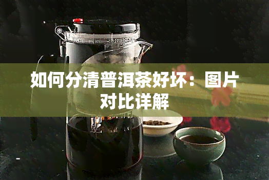 如何分清普洱茶好坏：图片对比详解