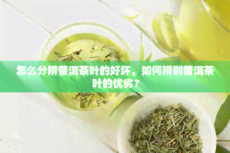 怎么分辨普洱茶叶的好坏，如何辨别普洱茶叶的优劣？