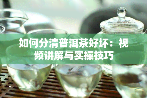 如何分清普洱茶好坏：视频讲解与实操技巧