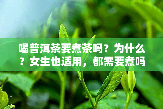 喝普洱茶要煮茶吗？为什么？女生也适用，都需要煮吗？洗茶是必需的吗？煮还是泡？一文告诉你。