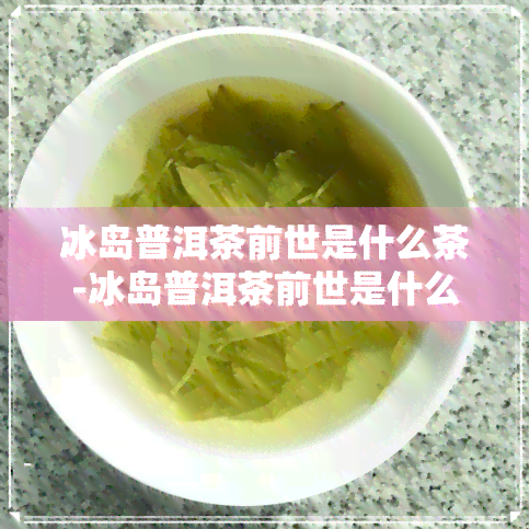 冰岛普洱茶前世是什么茶-冰岛普洱茶前世是什么茶叶