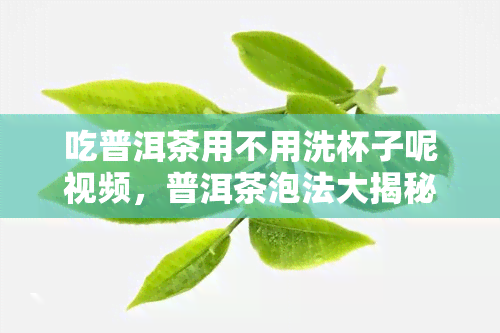 吃普洱茶用不用洗杯子呢视频，普洱茶泡法大揭秘：吃前需不需要洗杯子？看视频就知道！