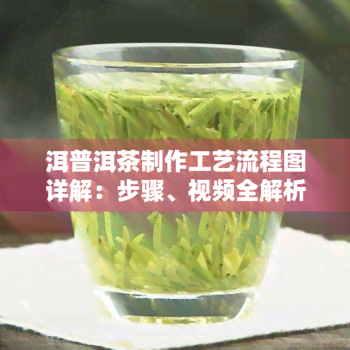 洱普洱茶制作工艺流程图详解：步骤、视频全解析