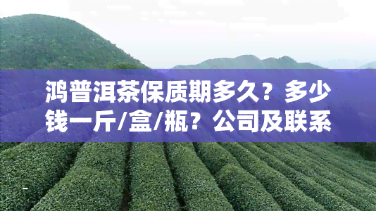 鸿普洱茶保质期多久？多少钱一斤/盒/瓶？公司及联系电话查询