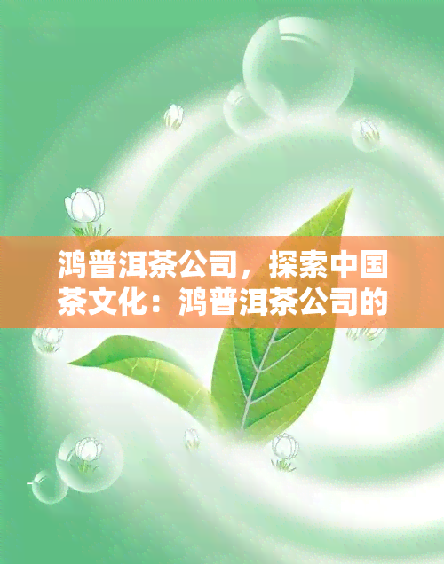 鸿普洱茶公司，探索中国茶文化：鸿普洱茶公司的独特魅力