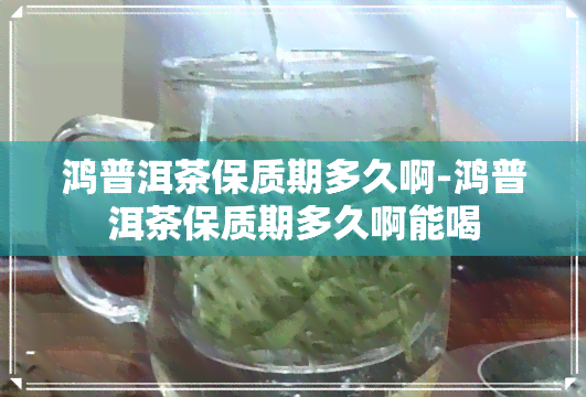 鸿普洱茶保质期多久啊-鸿普洱茶保质期多久啊能喝